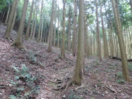 画像6